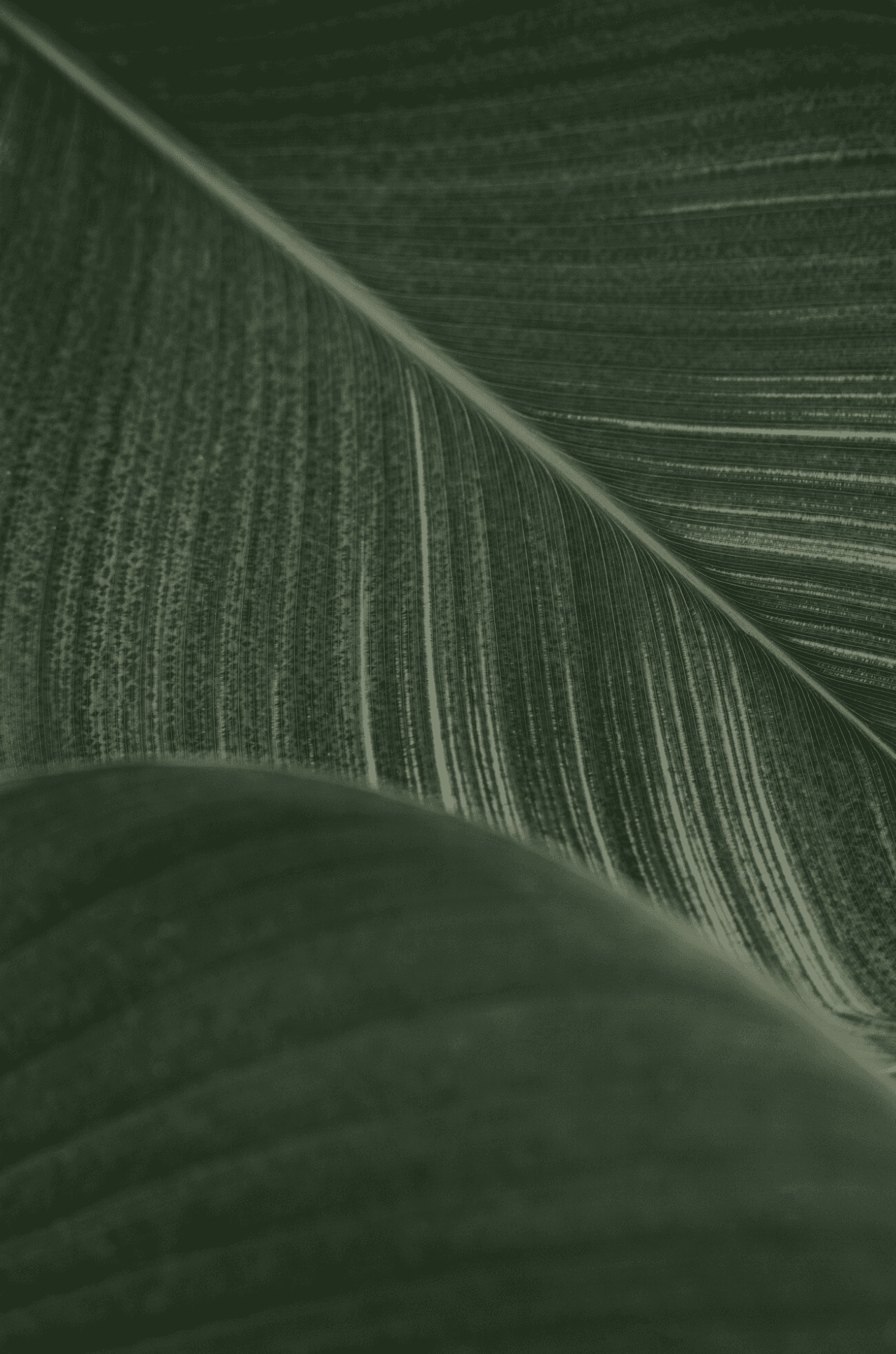 Relatório de Sustentabilidade 2023