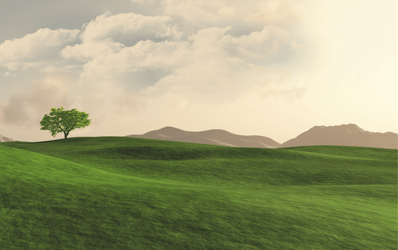 Dicas para ser contemplado no consórcio de terreno