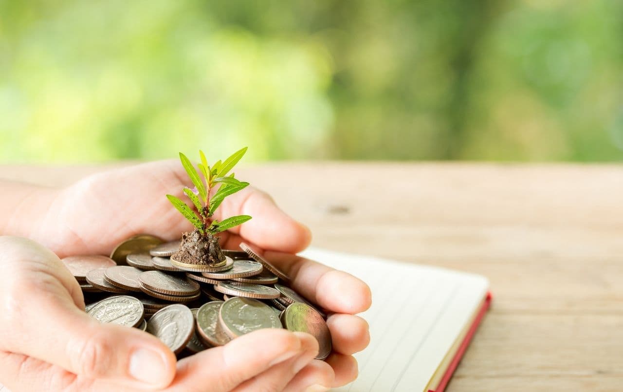 Educação financeira: entenda a importância para o cenário atual